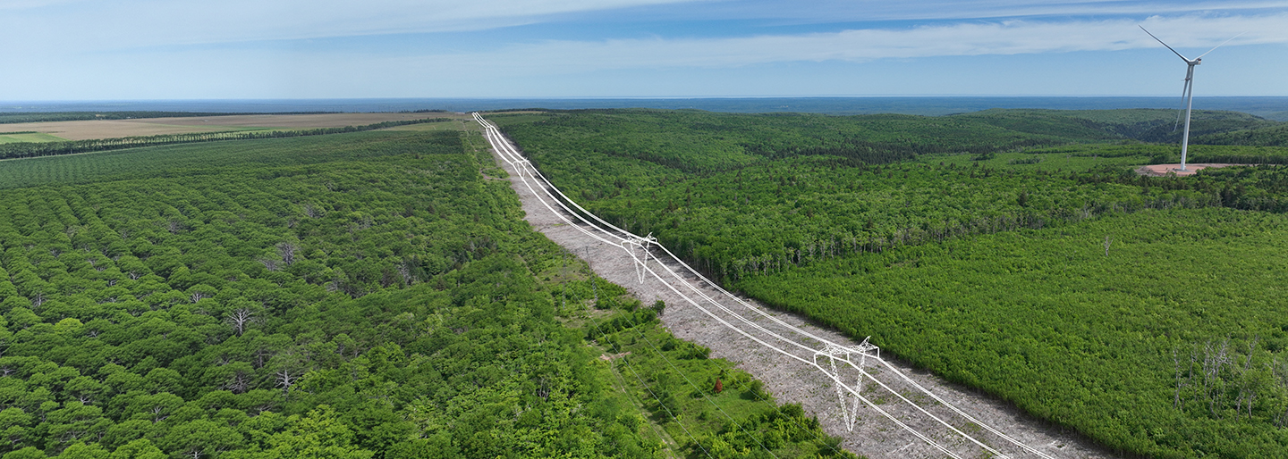 Aerial view of the Wasoqonatl Transmission Line running across a lush green landscape